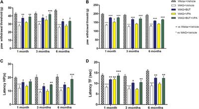 Pain Modulation in WAG/Rij Epileptic Rats (A Genetic Model of Absence Epilepsy): Effects of Biological and Pharmacological Histone Deacetylase Inhibitors